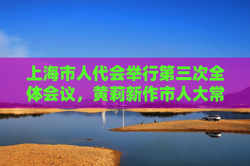 上海市人代会举行第三次全体会议，黄莉新作市人大常委会工作报告