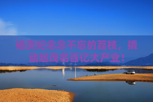 杨贵妃念念不忘的荔枝，撬动起茂名百亿大产业！