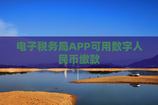 电子税务局APP可用数字人民币缴款