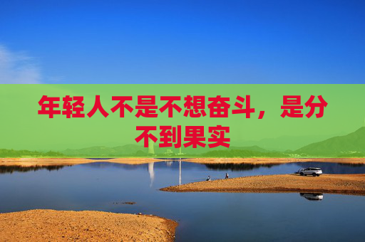年轻人不是不想奋斗，是分不到果实