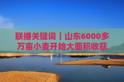 联播关键词｜山东6000多万亩小麦开始大面积收获