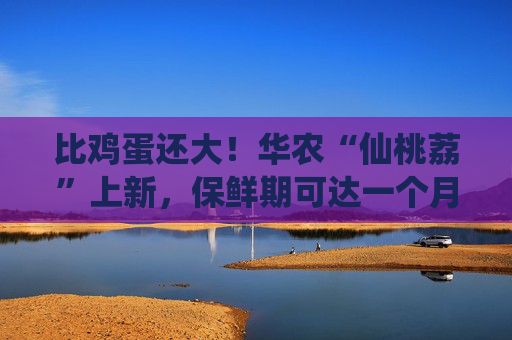 比鸡蛋还大！华农“仙桃荔”上新，保鲜期可达一个月
