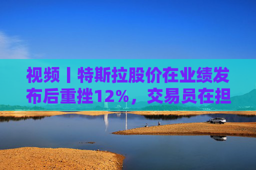 视频丨特斯拉股价在业绩发布后重挫12%，交易员在担心什么？