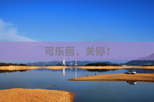 可乐丽，关停！