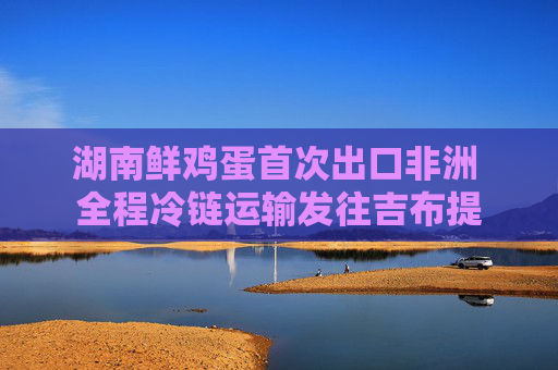 湖南鲜鸡蛋首次出口非洲 全程冷链运输发往吉布提