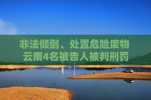 非法倾倒、处置危险废物 云南4名被告人被判刑罚