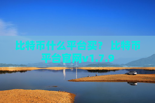 比特币什么平台买？ 比特币平台官网v1.7.9
