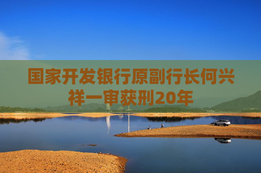国家开发银行原副行长何兴祥一审获刑20年