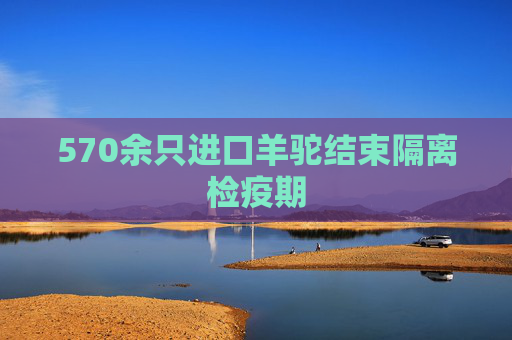570余只进口羊驼结束隔离检疫期