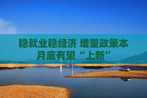 稳就业稳经济 增量政策本月底有望“上新”