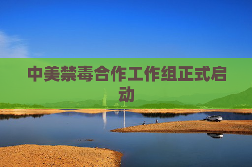 中美禁毒合作工作组正式启动