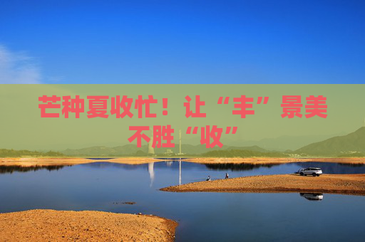 芒种夏收忙！让“丰”景美不胜“收”