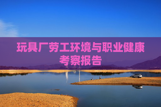 玩具厂劳工环境与职业健康考察报告