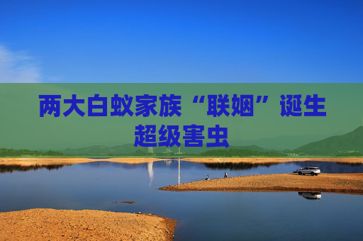 两大白蚁家族“联姻”诞生超级害虫