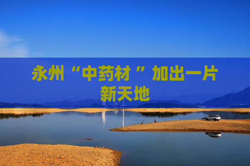 永州“中药材 ”加出一片新天地