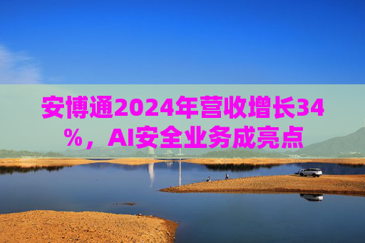 安博通2024年营收增长34%，AI安全业务成亮点