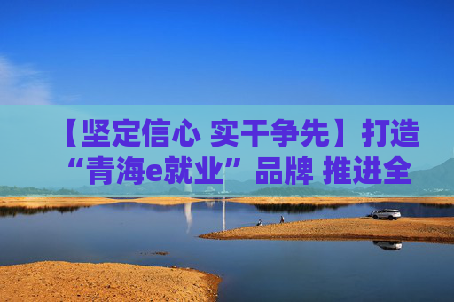 【坚定信心 实干争先】打造“青海e就业”品牌 推进全省“大就业”格局 ——“促进高质量充分就业”系列报道之八