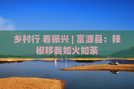乡村行 看振兴 | 富源县：辣椒移栽如火如荼