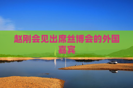 赵刚会见出席丝博会的外国嘉宾