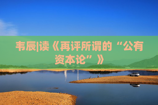 韦辰|读《再评所谓的“公有资本论”》