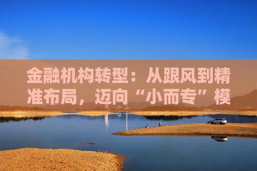 金融机构转型：从跟风到精准布局，迈向“小而专”模式