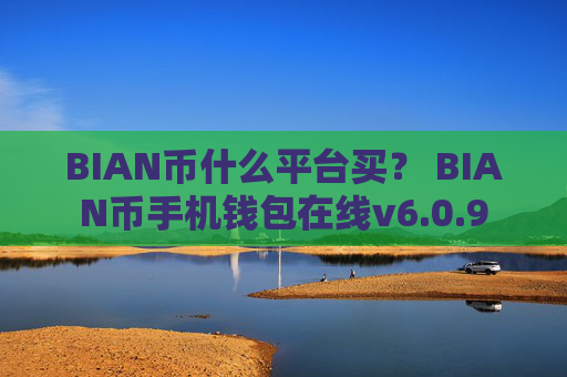 BIAN币什么平台买？ BIAN币手机钱包在线v6.0.9