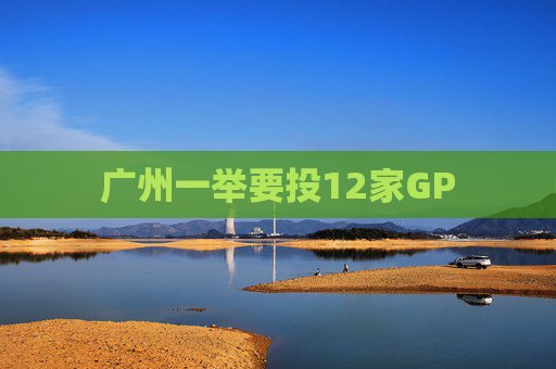 广州一举要投12家GP