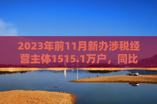 2023年前11月新办涉税经营主体1515.1万户，同比增长25.4%