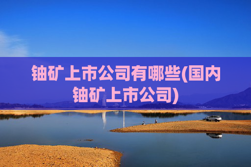 铀矿上市公司有哪些(国内铀矿上市公司)