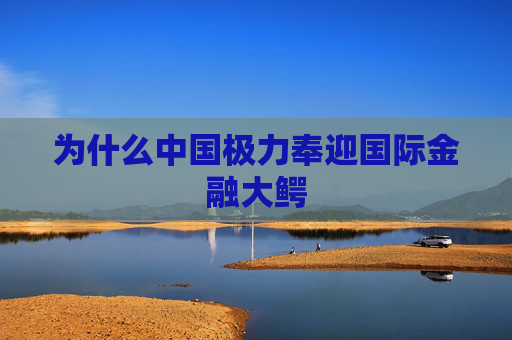 为什么中国极力奉迎国际金融大鳄