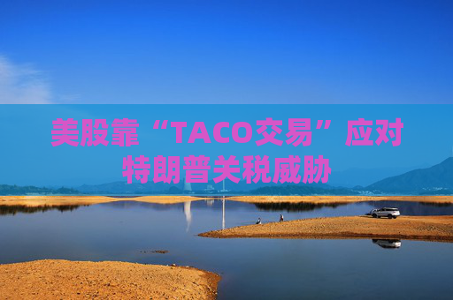 美股靠“TACO交易”应对特朗普关税威胁