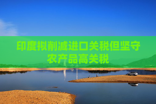 印度拟削减进口关税但坚守农产品高关税