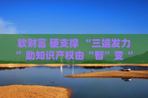 软财富 硬支撑 “三端发力”助知识产权由“智”变“金”