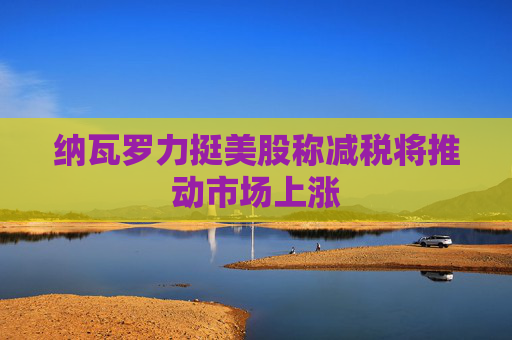 纳瓦罗力挺美股称减税将推动市场上涨