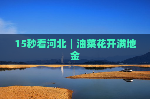 15秒看河北｜油菜花开满地金