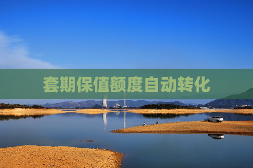 套期保值额度自动转化