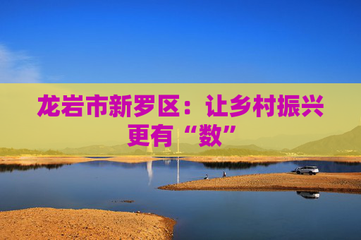 龙岩市新罗区：让乡村振兴更有“数”