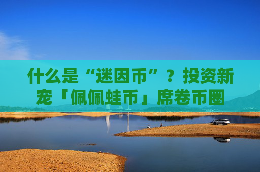什么是“迷因币”？投资新宠「佩佩蛙币」席卷币圈