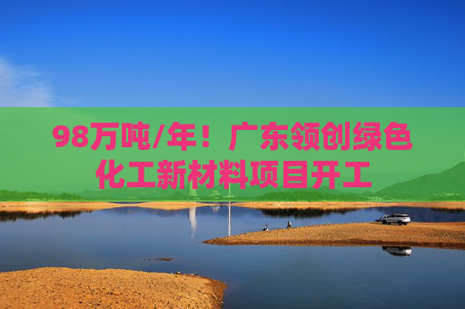 98万吨/年！广东领创绿色化工新材料项目开工