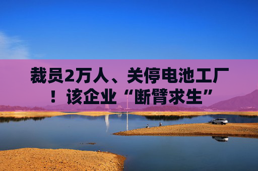 裁员2万人、关停电池工厂！该企业“断臂求生”