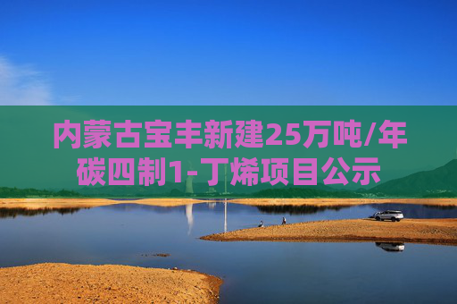 内蒙古宝丰新建25万吨/年碳四制1-丁烯项目公示