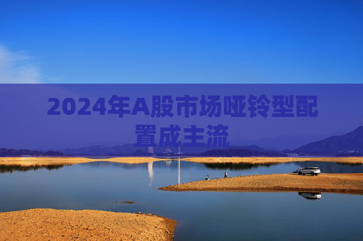 2024年A股市场哑铃型配置成主流