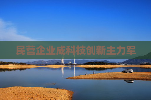 民营企业成科技创新主力军