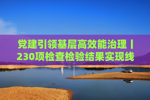 党建引领基层高效能治理丨230项检查检验结果实现线上互认——“一单通行”惠民生