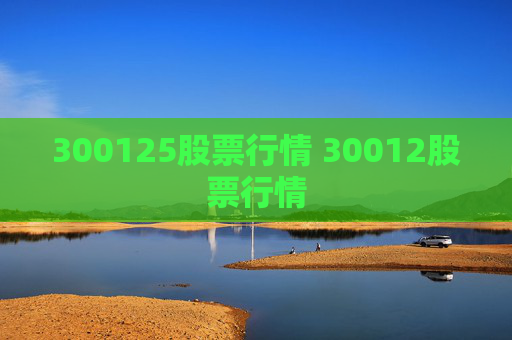 300125股票行情 30012股票行情