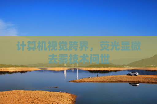 计算机视觉跨界，荧光显微去雾技术问世