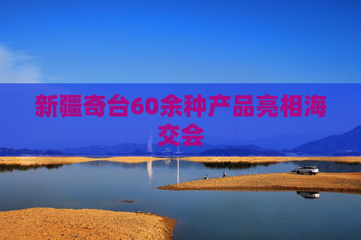 新疆奇台60余种产品亮相海交会