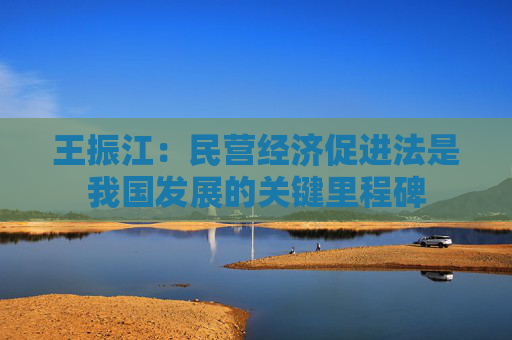 王振江：民营经济促进法是我国发展的关键里程碑