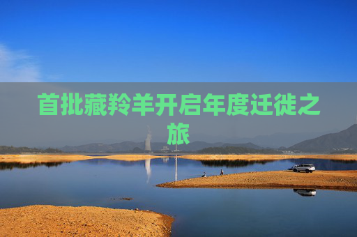首批藏羚羊开启年度迁徙之旅