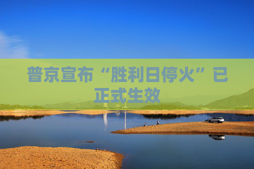 普京宣布“胜利日停火”已正式生效